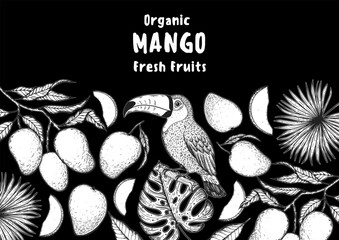 Ripe mango and toucan bird sketch. Hand drawn vector illustration. Tropical fruit. Packaging design, menu design, juice packaging. Mango frame.