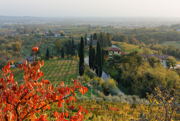 Autumn landscape view from Rosazzo abbey in Friuli region, Italy