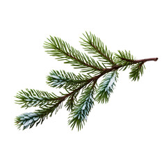 Fir Branch with Snow isolated on transparent background Generative AI