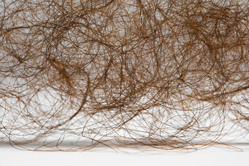 Macro detail of brown hair. Hair loss concept, hair fall health problem
