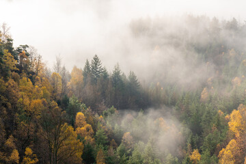 Picturesque mountain landscape in autumn. Blue sky, fog, yellow trees. Saxon Switzerland, Germany,...