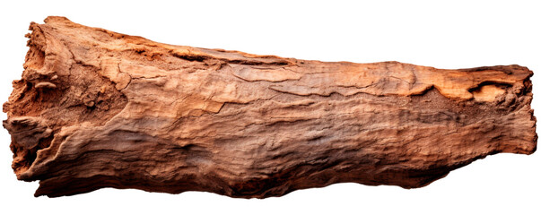 Bark of a tree on isolated transparent background