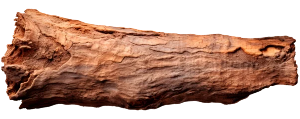 Rolgordijnen Bark of a tree on isolated transparent background © GulArt