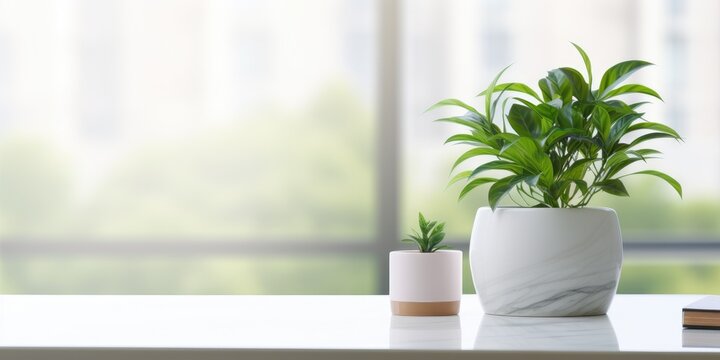 Minimalistic white marble table workplace with supplies and a house plant for displaying products.