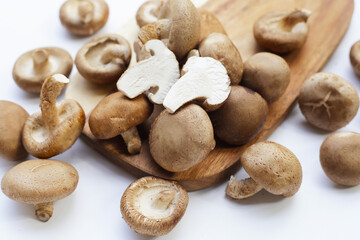 Fresh shiitake mushrooms on white background.