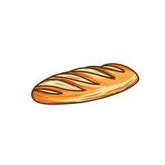 baguette long bread illustration on white background - 693227314