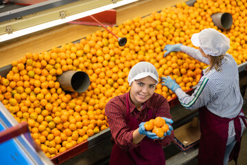 High angle view of smiling young female sorter working on citrus sorting line in agricultural factory showing pile of ripe mandarins © JackF