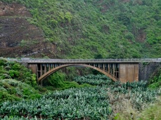 Fototapeta na wymiar Brücke im Norden La Palmas 