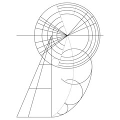 Scientific Diagram Vector Drawing
