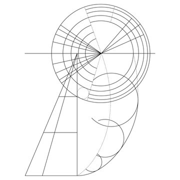 Scientific Diagram Vector Drawing