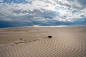 Piaszczysty piasek na pustyni wydmie