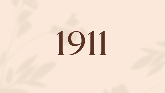 Vintage 1911 birthday, Made in 1911 Limited Edition, born in 1911 birthday design. 3d rendering flip board year 1911.