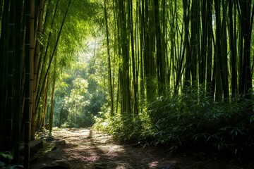 A hidden bamboo forest with sunlight filtering through the dense canopy, creating a play of light and shadows on the forest floor