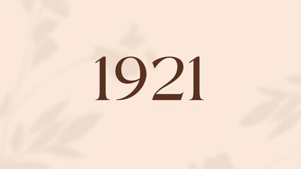 Vintage 1921 birthday, Made in 1921 Limited Edition, born in 1921 birthday design. 3d rendering flip board year 1921.