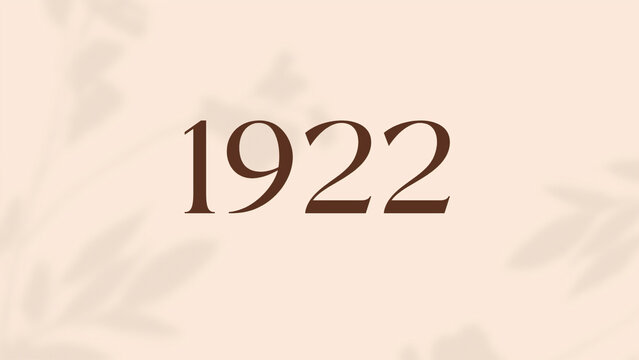 Vintage 1922 birthday, Made in 1922 Limited Edition, born in 1922 birthday design. 3d rendering flip board year 1922.