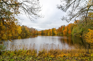 Natural frame over November lake