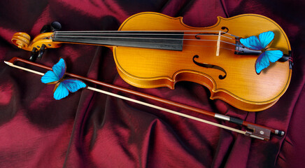 bright blue tropical morpho butterflies on violin
