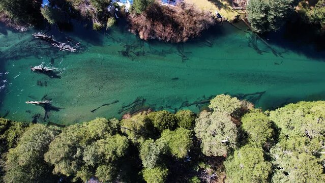 Bridge remains standing in clear river water, aerial top down view