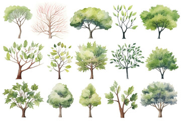 Fototapeta premium A set of tree painting with watercolor. 