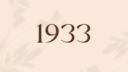 Vintage 1933 birthday, Made in 1933 Limited Edition, born in 1933 birthday design. 3d rendering flip board year 1933.