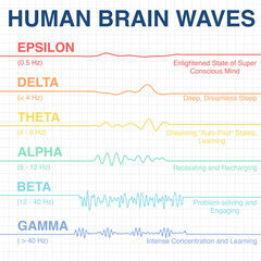 Human brain wave frequency graphics. Vector illustration. electroencephalogram. illustration of medical electroencephalography- Eeg on chart paper.