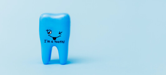 Blue tooth model on blue background. Space for text. Copy space. Close up. Dental health concept. Flat lay. Stomatology. Place for text. Oral health and dental inspection teeth. Dentistry.