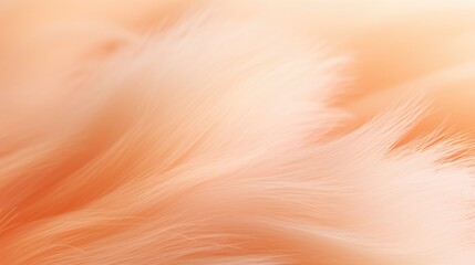 Closeup of a soft and soothing Peach Fuzz gradient background, creating a peaceful atmosphere. - obrazy, fototapety, plakaty