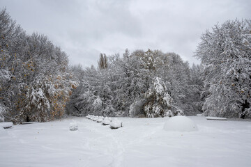 Winter Landscape of South Park in city of Sofia, Bulgaria