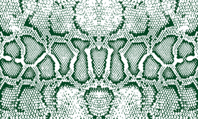 snake. dragon. background. texture. green. postcard.