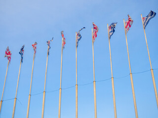 Many flags on flagpoles. Flags in the wind. State symbols