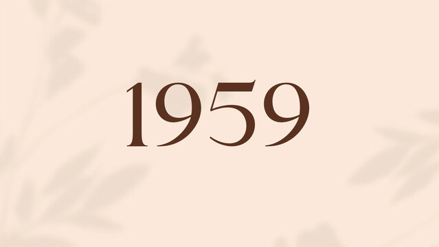 Vintage 1959 birthday, Made in 1959 Limited Edition, born in 1959 birthday design. 3d rendering flip board year 1959.
