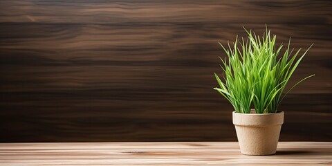 Copy space with potted grass flower on wooden table background.