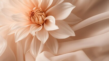 A single flower sitting on top of a white cloth. Monochrome peach fuzz background.