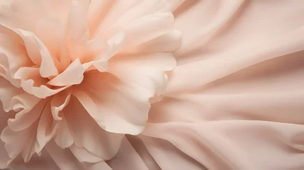 Foto op Canvas A single flower sitting on top of a white cloth. Monochrome peach fuzz background. © Ziyan