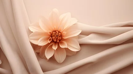 Foto op Plexiglas A single flower sitting on top of a white cloth. Monochrome peach fuzz background. © Ziyan