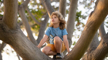 Kid climbing on a tree branch outdoor.