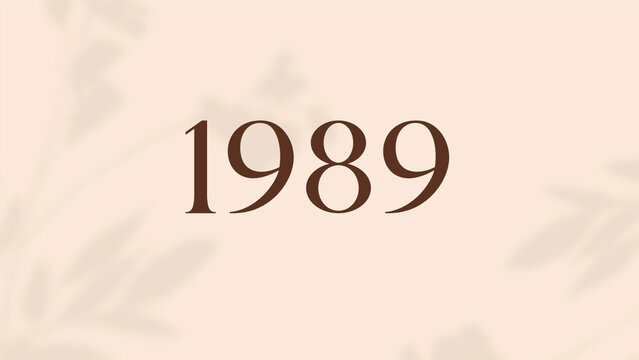 Vintage 1989 birthday, Made in 1989 Limited Edition, born in 1989 birthday design. 3d rendering flip board year 1989.