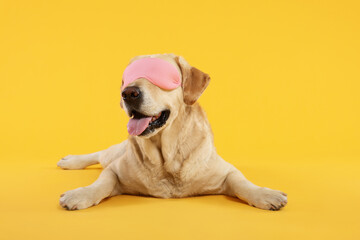 Cute Labrador Retriever with sleep mask resting on yellow background