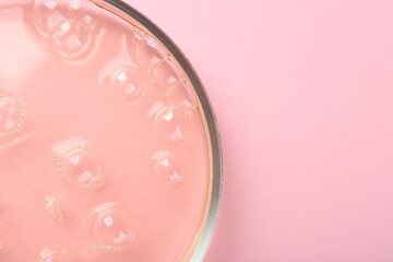 Petri dish with liquid sample on pink background, top view. Space for text