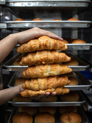 Hand-holding fresh Croissant from the oven