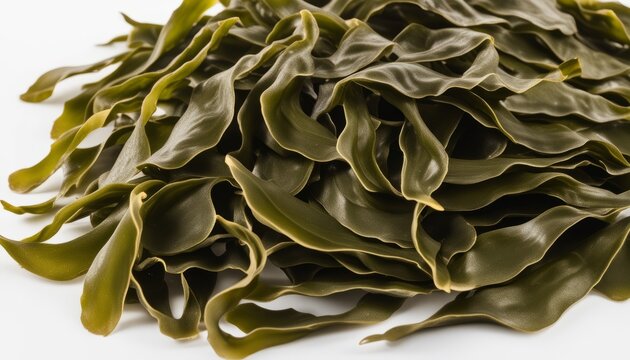 A pile of seaweed on a white background