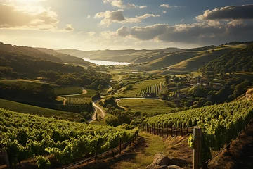 Zelfklevend Fotobehang the beauty of the vineyards at sunset © Green
