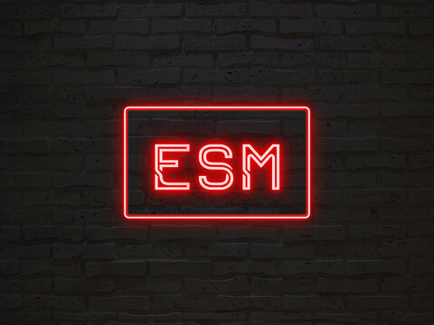 ESM のネオン文字