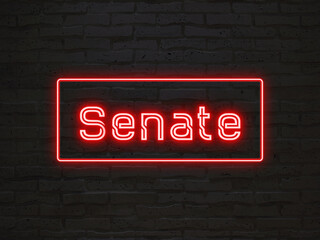 Senate のネオン文字