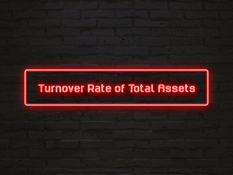 Turnover Rate of Total Assets のネオン文字