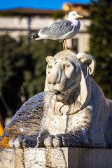 Lions fountain at Piazza del Popolo in Rome