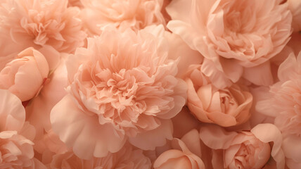 Close-up of peonies flowers in the 2024 color Peach Fuzz.