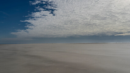 Low tide in the ocean. The exposed seabed stretches to the horizon. A chain of footprints in the...