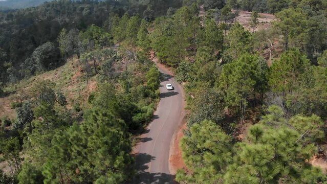 car on the road in the middle of the forest, disappearing into nothingness. Aerial film shooting with drone