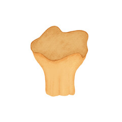 the mushroom with a brown yellow color